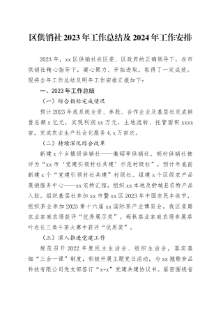 区供销社2023年工作总结及2024年工作安排（20231117）