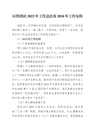 区供销社2023年工作总结及2024年工作安排
