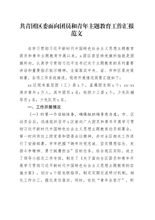 区共青团面向团员和青年教育类工作汇报二批次第总结报告