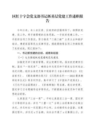 区红十字会党支部书记抓基层党建工作述职报告