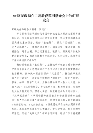 区民政局在主题教育巡回指导会上的汇报发言