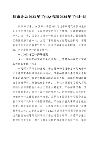 区审计局2023年工作总结和2024年工作计划