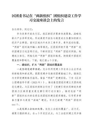 区团委书记在“两新组织”团组织建设工作学习交流座谈会上的发言
