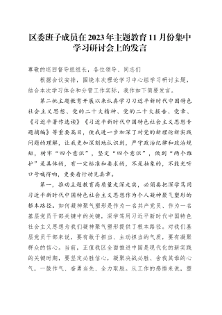区委班子成员在2023年主题教育11月份集中学习研讨会上的发言