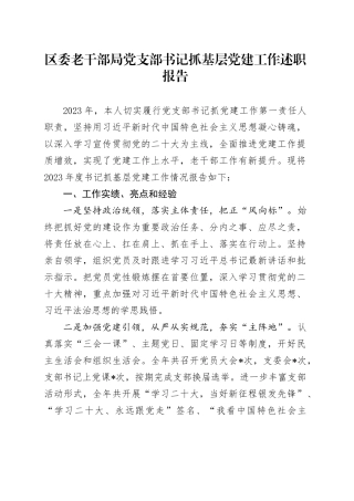 区委老干部局党支部书记抓基层党建工作述职报告