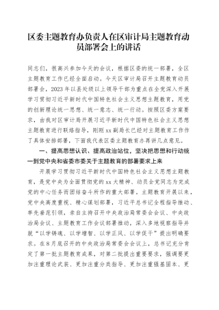 区委主题教育办负责人在区审计局主题教育动员部署会上的讲话