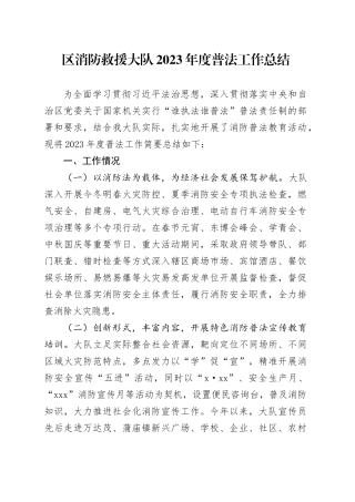 区消防救援大队2023年度普法工作总结（20231207）
