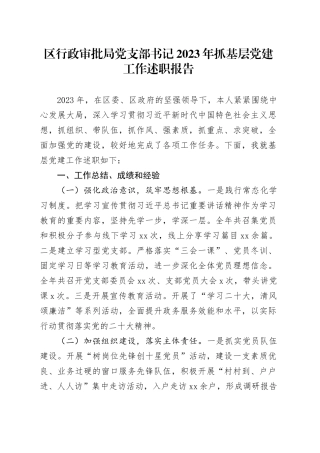 区行政审批局党支部书记2023年抓基层党建工作述职报告