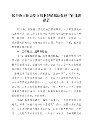 区行政审批局党支部书记抓基层党建工作述职报告