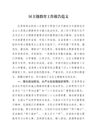 区主题教育工作报告总结汇报第二批次2024年1月19日