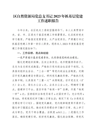 区自然资源局党总支书记2023年抓基层党建工作述职报告