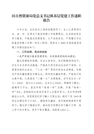 区自然资源局党总支书记抓基层党建工作述职报告