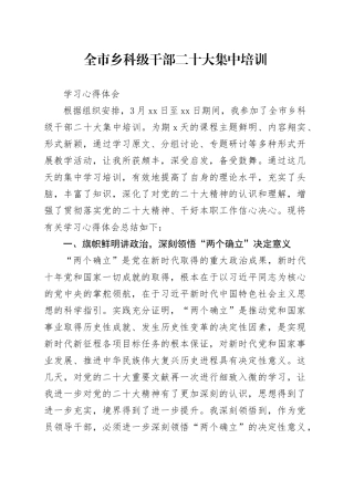 全市乡科级干部二十大集中培训学习心得体会