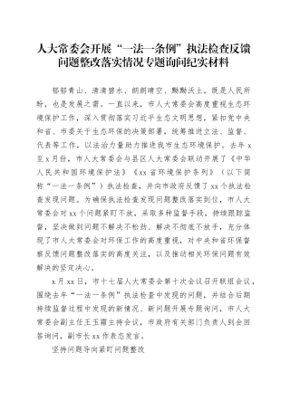 人大常委会开展“一法一条例”执法检查反馈问题整改落实情况专题询问纪实材料