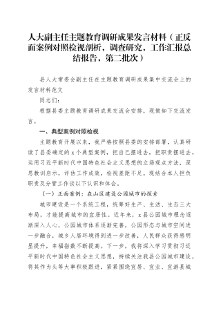 人大副主任主题教育调研成果发言材料（正反面案例对照检视剖析，调查研究，工作汇报总结报告，第二批次）
