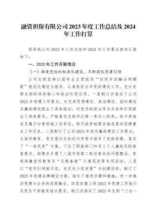 融资担保有限公司2023年度工作总结及2024年工作打算