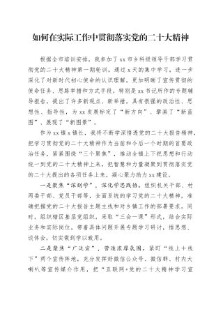 如何在实际工作中贯彻落实党的二十大精神