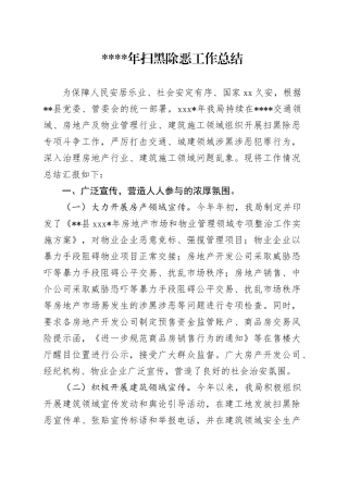 扫黑除恶工作总结