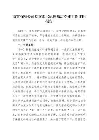 商贸有限公司党支部书记抓基层党建工作述职报告