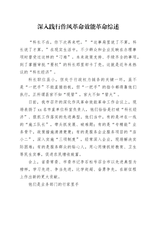 深入践行作风革命效能革命综述