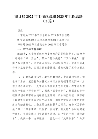 审计局2022年工作总结和2023年工作思路（2篇）