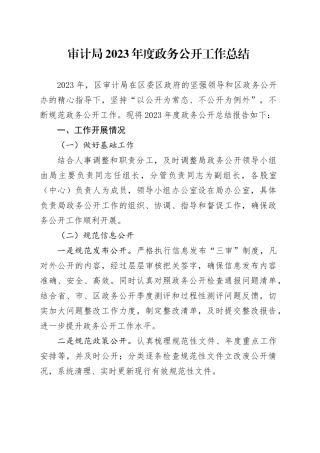 审计局2023年度政务公开工作总结（20231227）