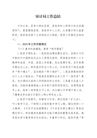 审计局工作总结