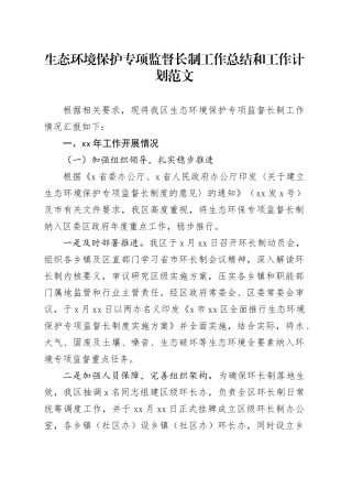 生态环境保护专项监督长制工作总结和工作计划汇报报告