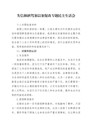 失信和酒驾案个人检查材料