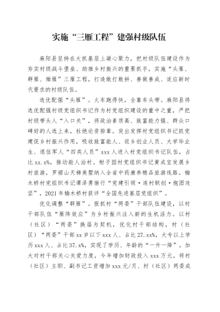 实施“三雁工程” 建强村级队伍