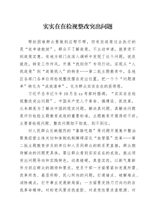 实实在在检视整改突出问题