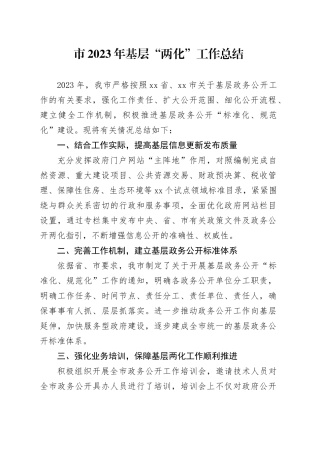 市2023年基层“两化”工作总结（20231211）