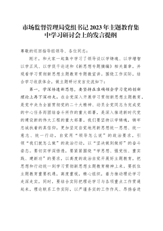 市场监督管理局党组书记2023年主题教育集中学习研讨会上的发言提纲(1)