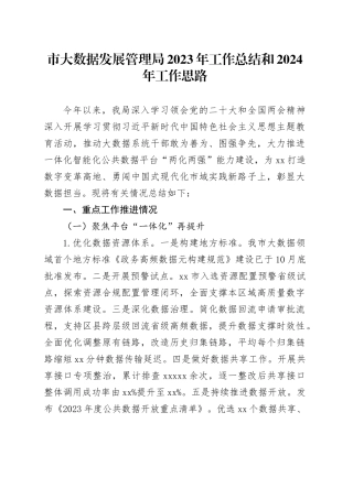 市大数据发展管理局2023年工作总结和2024年工作思路（20231225）