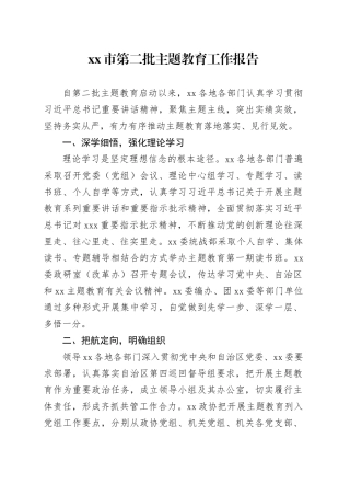 市第二批主题教育工作报告