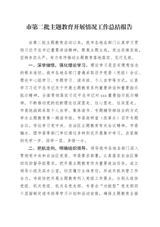 市第二批主题教育开展情况工作总结报告(1)