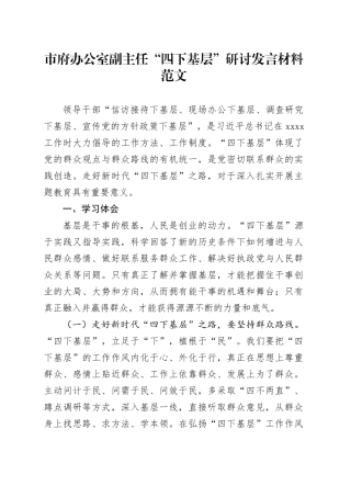 市府办公室副主任四下基层研讨发言材料政个人问题剖析对照检查心得体会