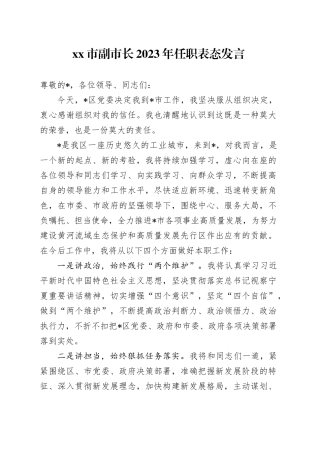 市副市长2023年任职表态发言