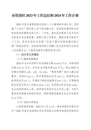 市供销社2023年工作总结和2024年工作计划