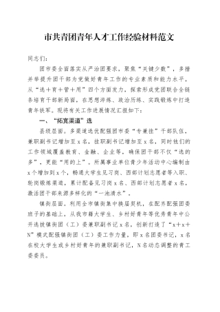 市共青团青年人才工作经验材料总结汇报报告