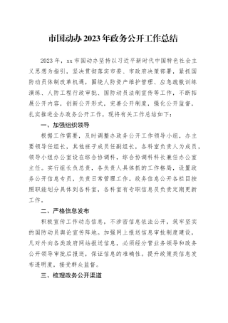 市国动办2023年政务公开工作总结（20240105）