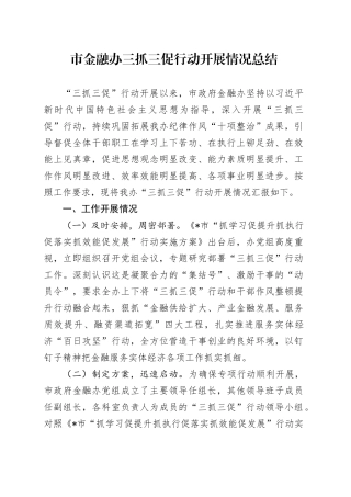 市金融办三抓三促行动开展情况总结