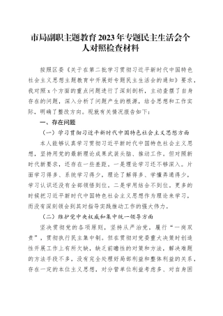市局副职主题教育2023年专题民主生活会个人对照检查材料