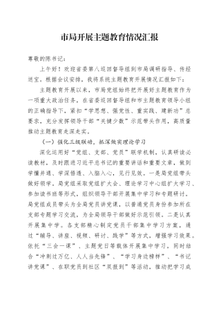 市局开展主题教育情况汇报