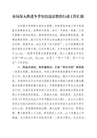市局深入推进冬季突出违法整治行动工作汇报