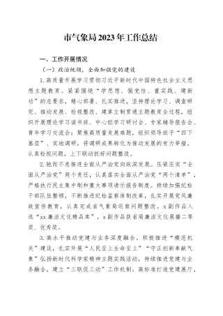 市气象局2023年工作总结（20240112）