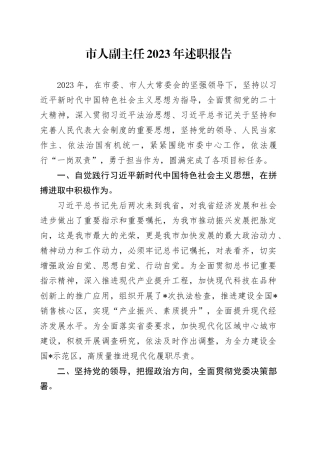 市人副主任2023年述职报告
