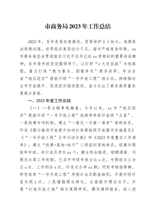 市商务局2023年工作总结（20231225）