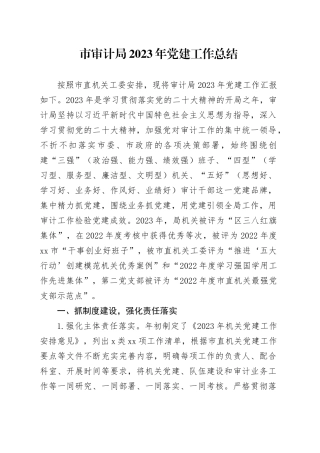 市审计局2023年党建工作总结