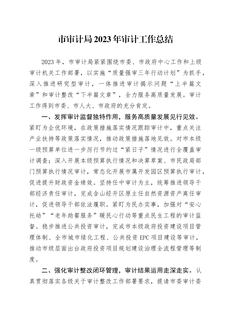 市审计局2023年审计工作总结（20240118）_第1页